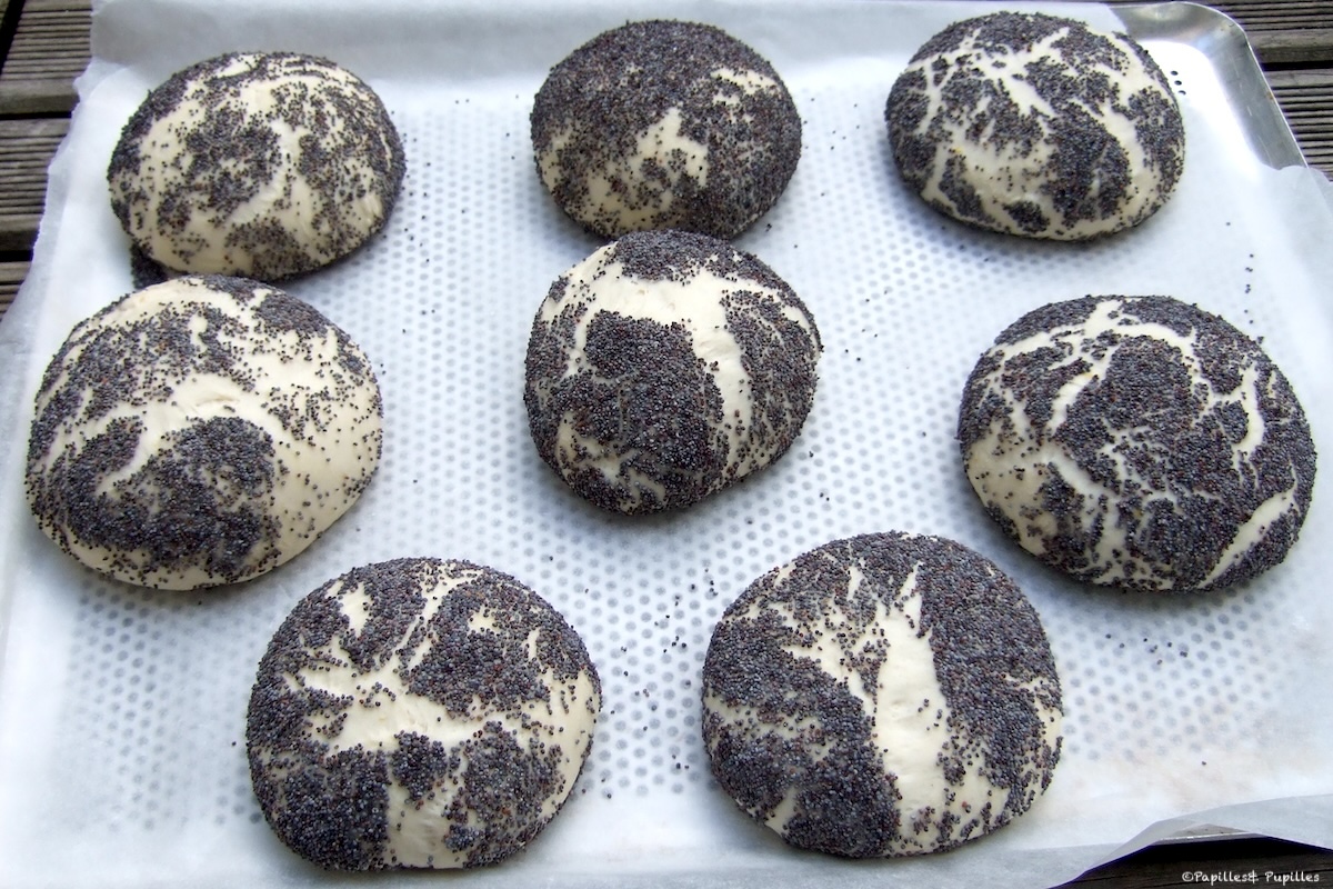 Pains au pavot avant d’enfourner