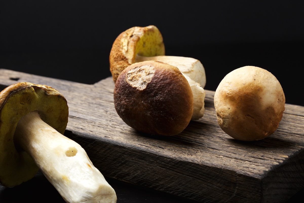 Cèpes (c) Dmitry Lityagin shutterstock