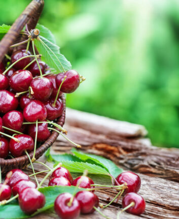 Cerises ©Fotoknips Shutterstock