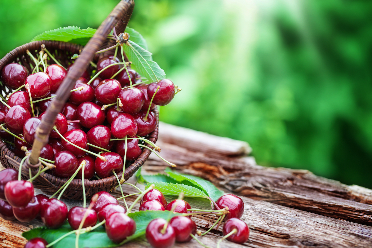 Cerises ©Fotoknips Shutterstock