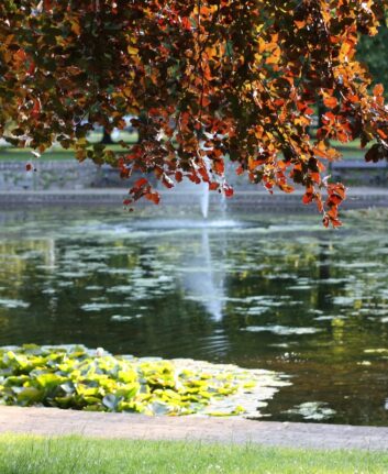 Jet d'eau Cork, Dublin