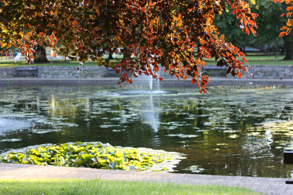 Jet d'eau Cork, Dublin