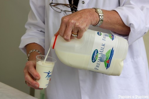 Lait - Les irlandais sont parmi les plus gros consommateurs de lait du monde