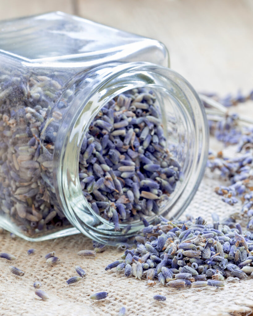Dry lavender tea in glass jag and on wooden background, horizontal