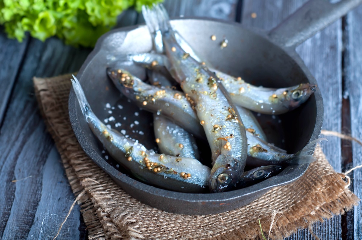 Sardines (c) lyulka shutterstock