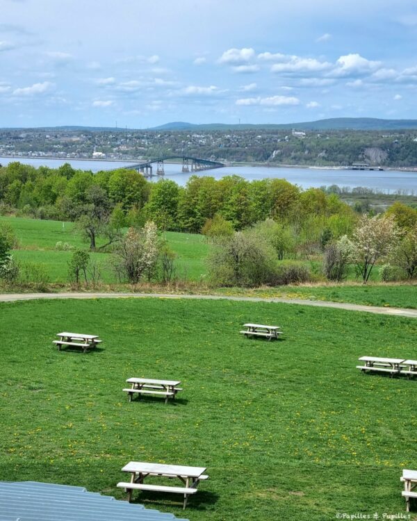 Aire pique nique Cassis Mona