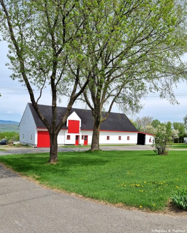Ferme - Île d'Orléans