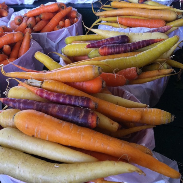 Carottes arc en ciel, marché Jean Talon, Montreal