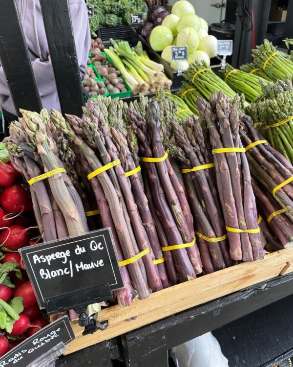 Asperges mauves et blanches - Marché Jean Talon