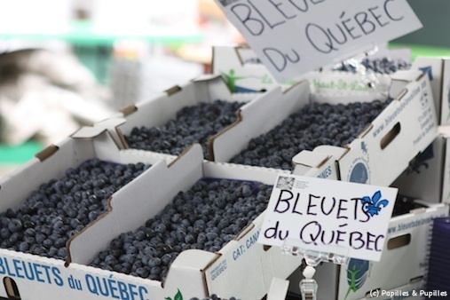 Bleuets du Québec