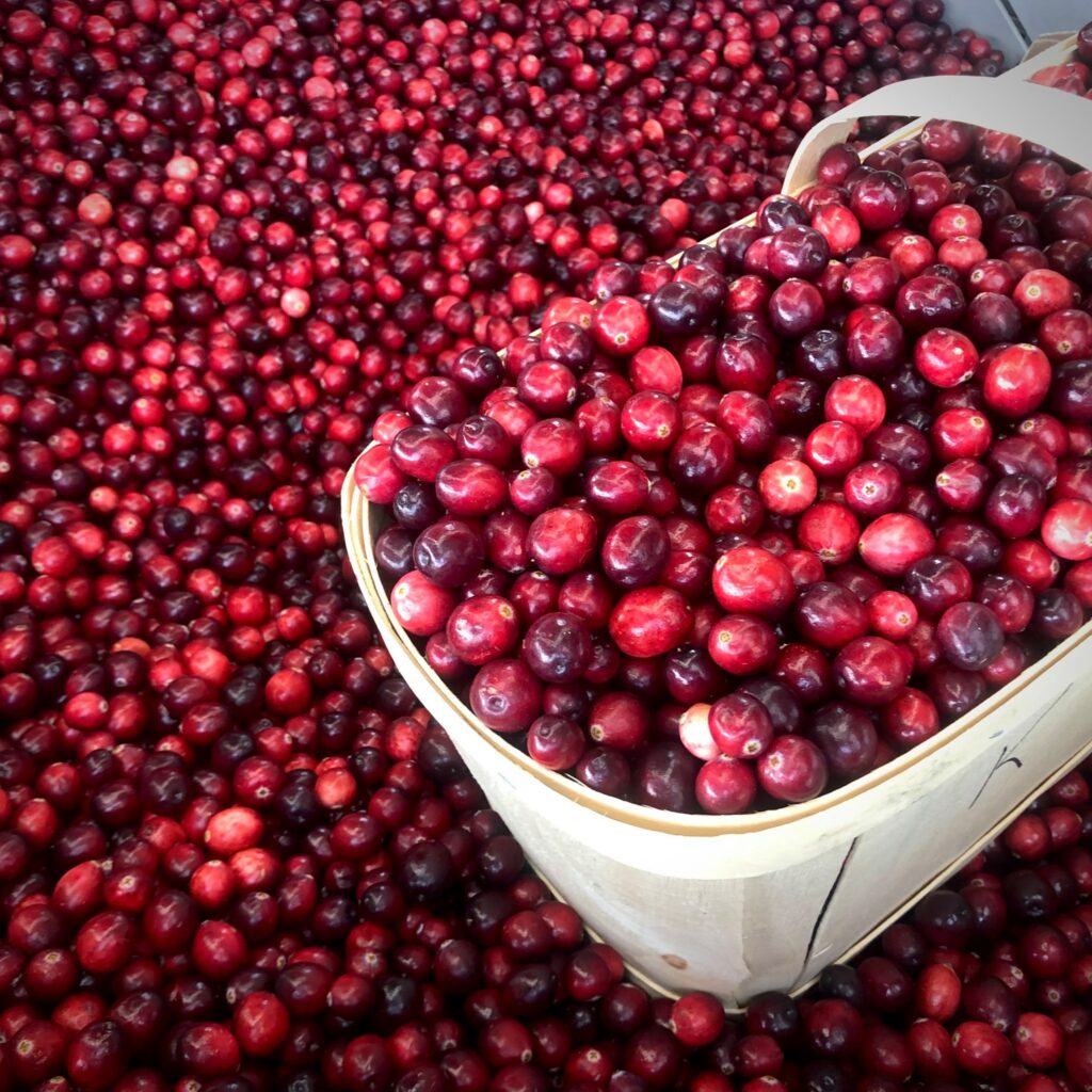 Canneberges Marché Jean Talon