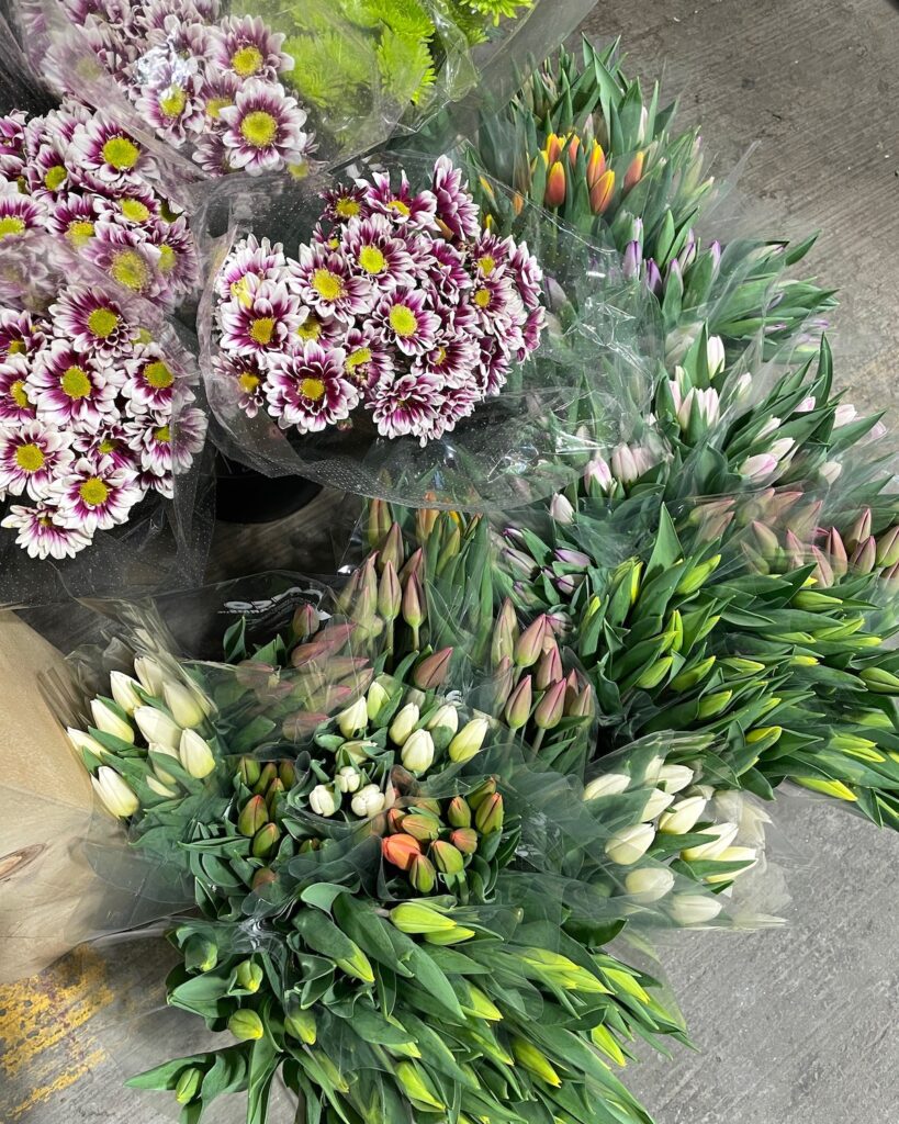 Fleurs Marché Jean Talon