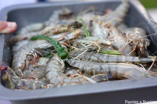 Gambas qui marinent