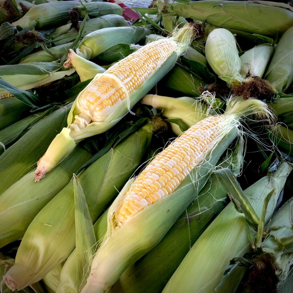 Maïs Marché Jean Talon