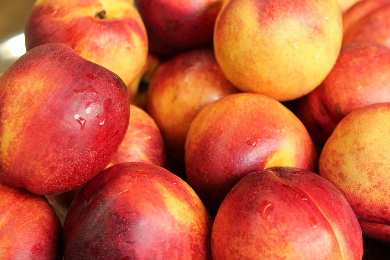 Nectarines ©_Alicja_ de Pixabay