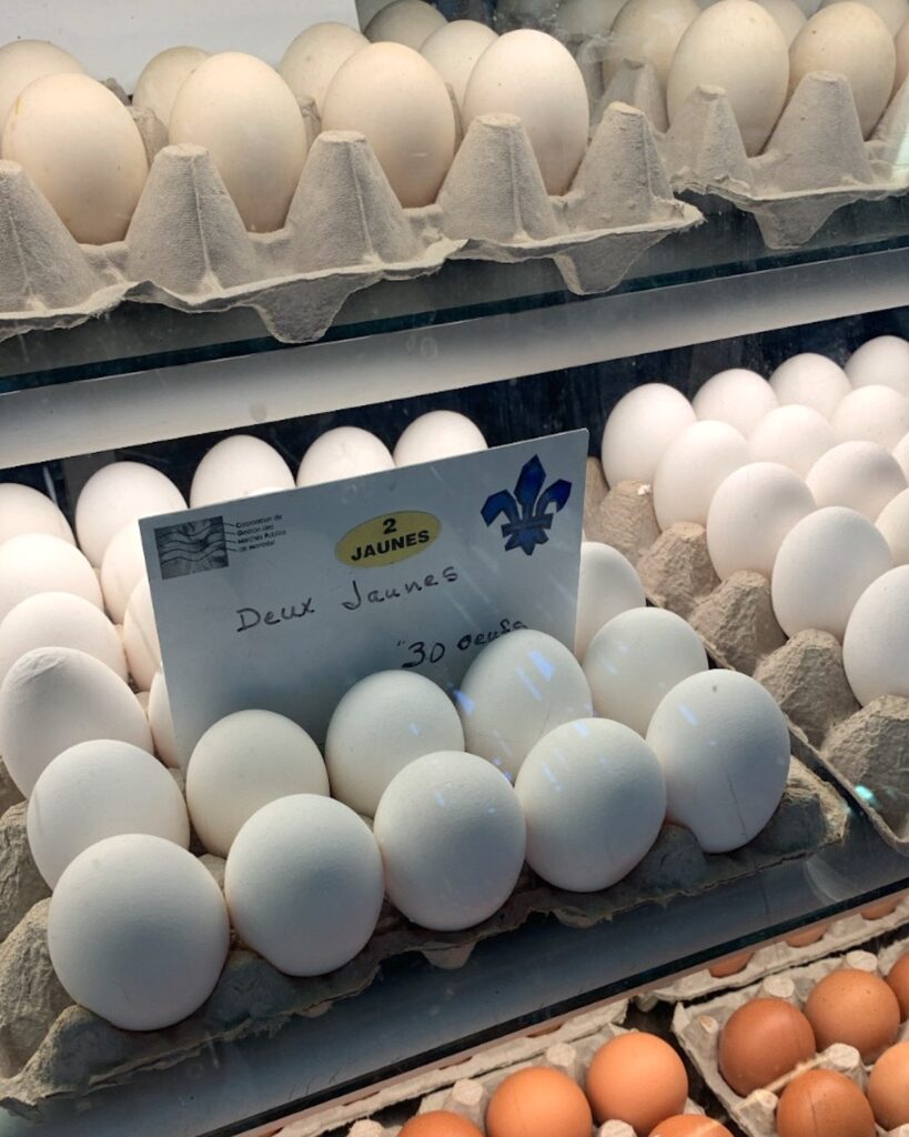 Oeufs à 2 jaunes Marché Jean Talon