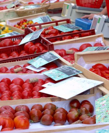 Différentes variétés de tomates - Mme Filliolaud