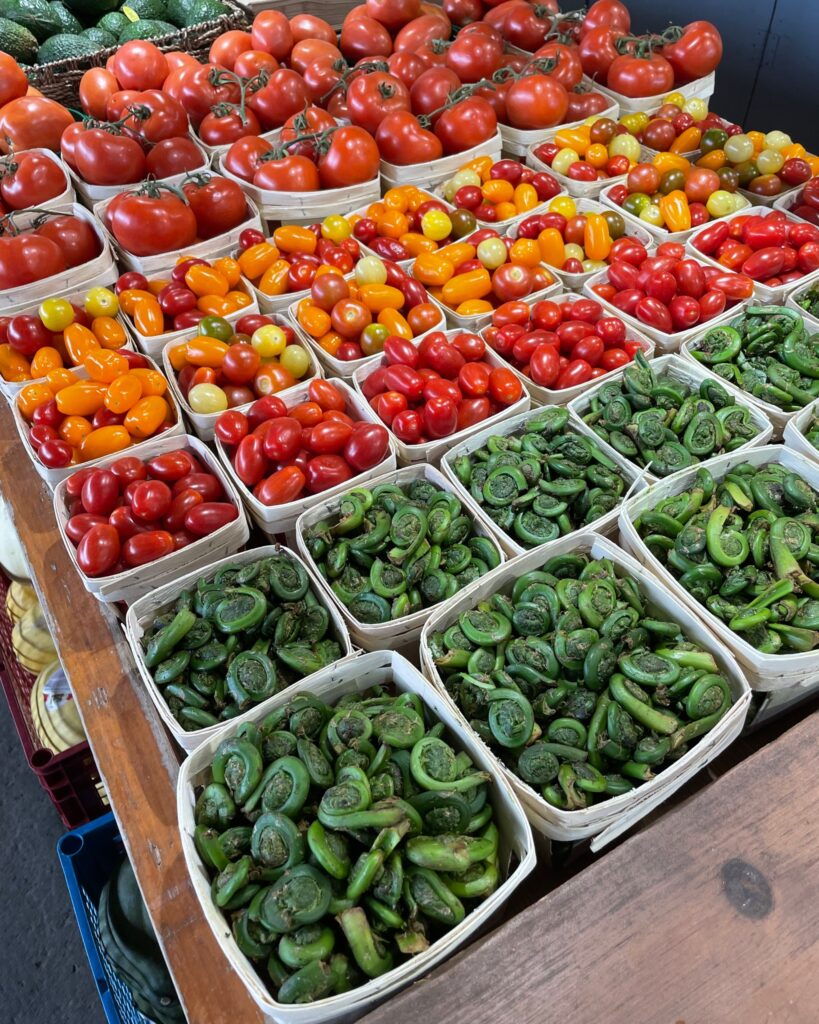 Têtes de violon Marché Jean Talon