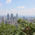 Vue sur Montréal depuis le Mont Royal