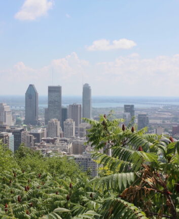 Vue sur Montréal depuis le Mont Royal