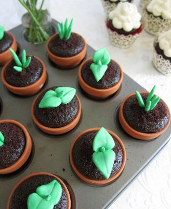 Cupcakes