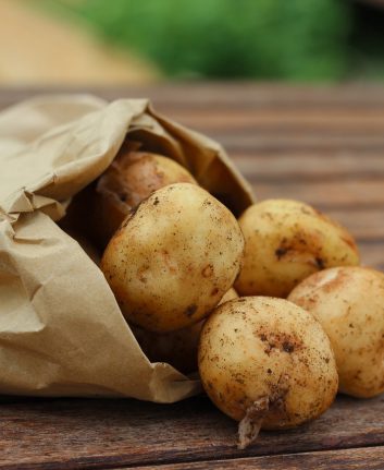 Pommes de terre (c) Lehtta1 CC0 Pixabay