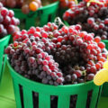 Raisins de Corynthe frais ©Can Pac Swire CC BY-NC 2.0