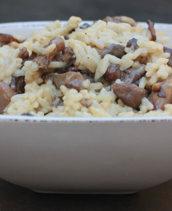 Risotto aux champignons des bois