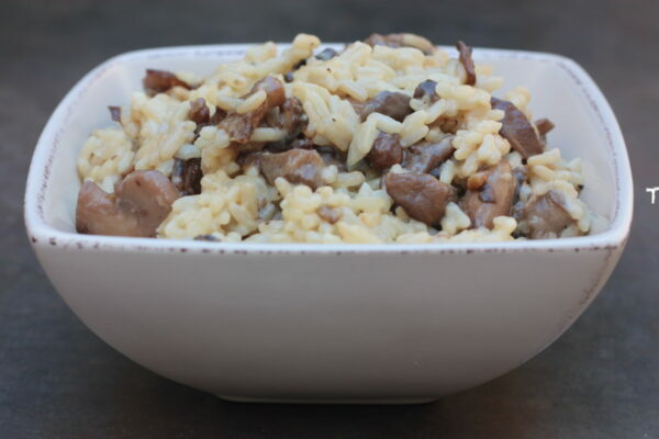 Risotto aux champignons des bois