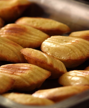 Madeleines au Comté et aux épices douces