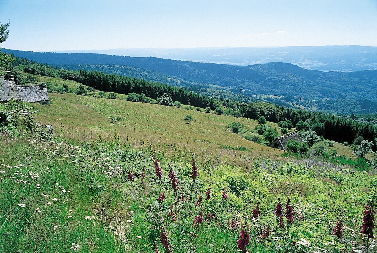Paysage Puy de Dôme - Ambert