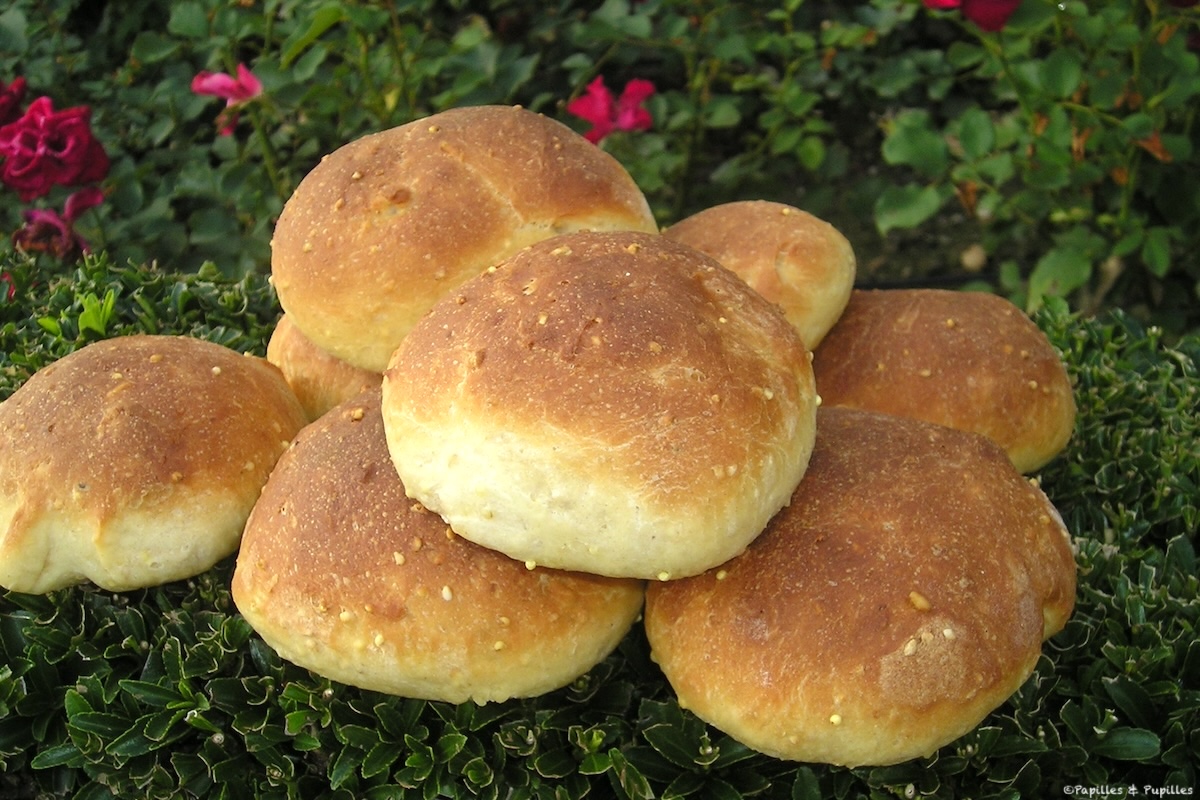 Petits pains aux 5 céréales et aux 3 graines