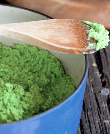 Purée de fèves