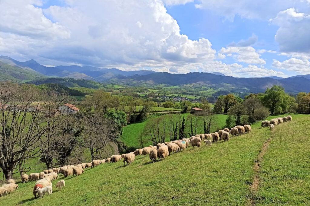 Vallée d'Ossau Iraty ©FB Ossau Iraty