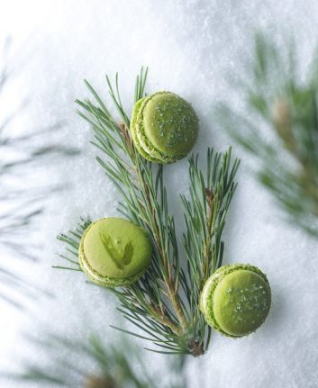 Macaron Sapin Frédéric Cassel