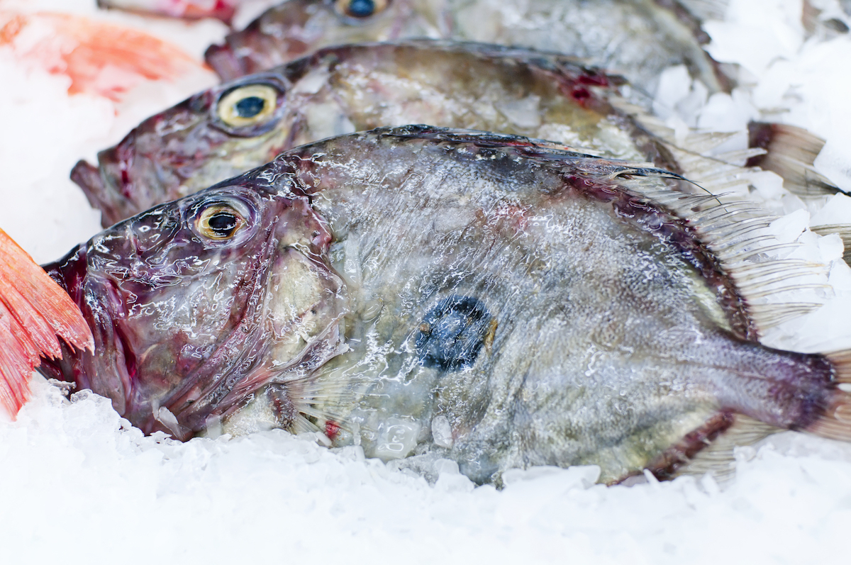 Saint Pierre ©hlphoto shutterstock