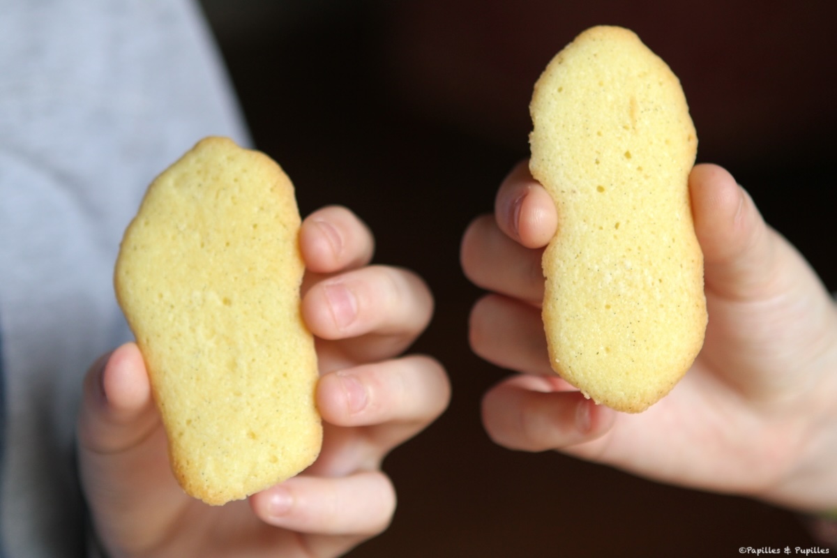 Langues de chat