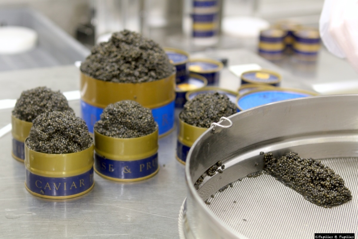 Mise en boite du caviar