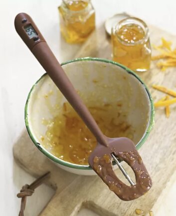 Spatule sonde