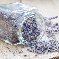 Lavande alimentaire ©iuliia_n shutterstock