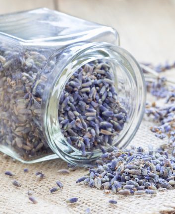 Lavande alimentaire ©iuliia_n shutterstock