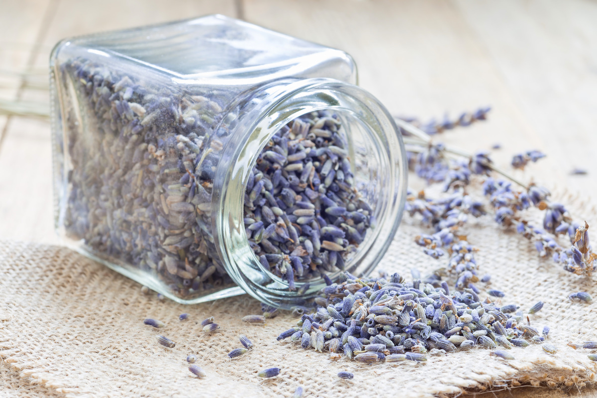 Lavande alimentaire ©iuliia_n shutterstock