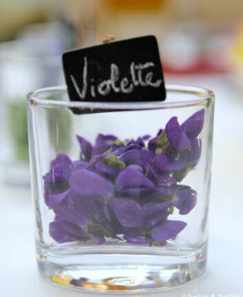 Violettes