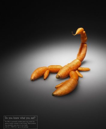 Carotte scorpion