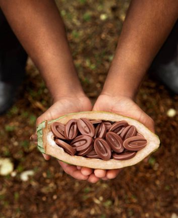 Chocolat ©Valrhona