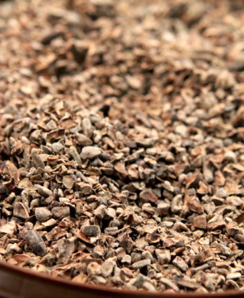 Grué de cacao