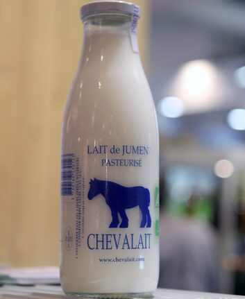Lait de jument