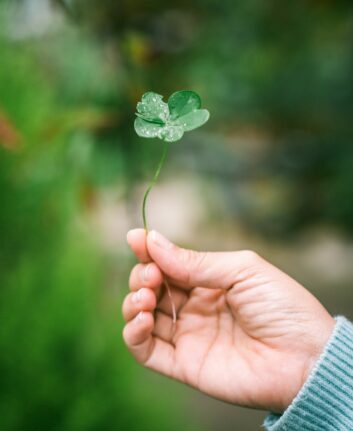 St Patrick ©Harris Vo on Unsplash