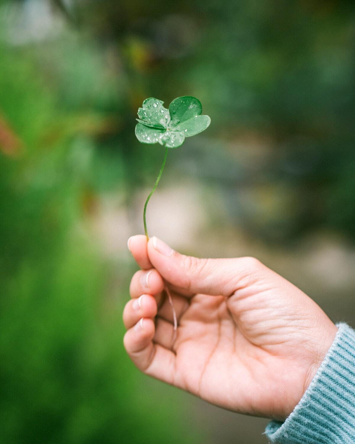 Ambiance de Saint-Patrick avec cuisine irlandaise et plats traditionnels