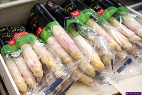 Asperges des sables des Landes